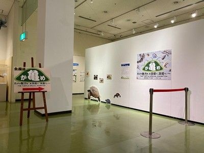 企画展「亀」カメの魅力を、ぁ深堀り、深堀りぃ～