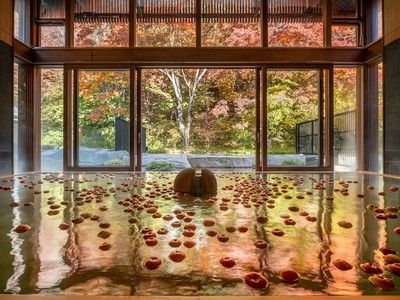 星野温泉 トンボの湯　りんご湯