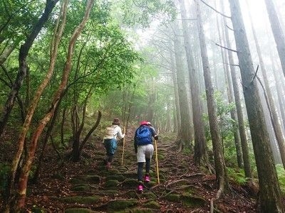 第19回　おわせ海・山ツーデーウォーク