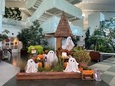 ハロウィン花のオブジェ展