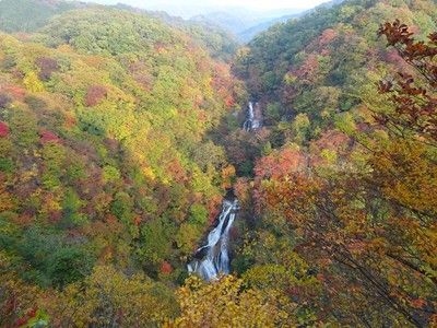 【紅葉・見ごろ】霧降ノ滝