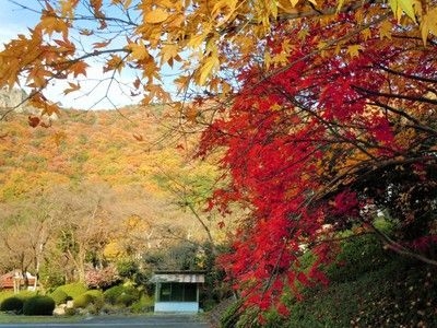 【紅葉・見ごろ】断魚渓