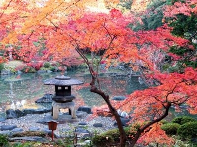 旧古河庭園の紅葉