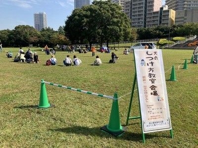 犬のしつけ方教室2024秋