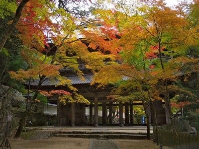 大本山 永源寺の紅葉