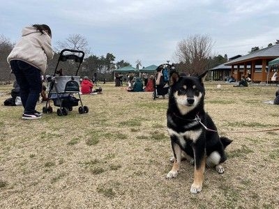 わんこと聴けるチャリティコンサート