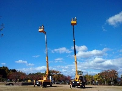 空から森林公園を眺めてみよう