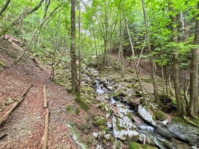 JAFデー in 和佐又山 人気ガイド岩本泉治さんと歩く沢路登山