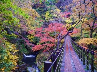 【紅葉・見ごろ】花貫渓谷