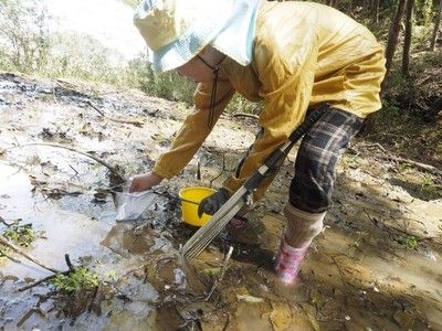 里山復活プロジェクト！トウキョウサンショウウオの産卵地保全活動