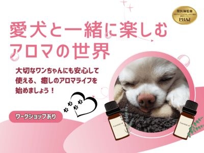 愛犬と一緒に楽しむアロマの世界