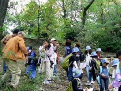 池田自然観察会 「どんぐりを楽しむ（どんぐり拾い、遊び、工作）」