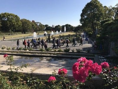 魅力あっぷセミナー 「ノルディックウォーキングで行く！秋バラの須磨離宮公園」