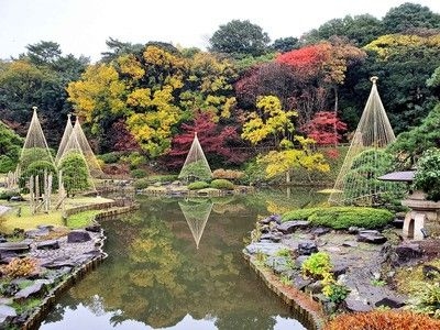 文京区立肥後細川庭園の紅葉