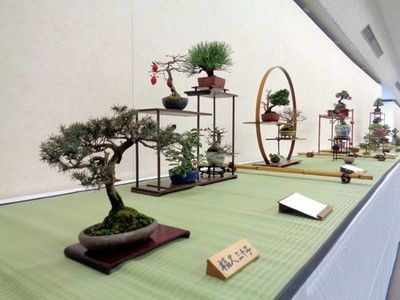 新春小品盆栽展