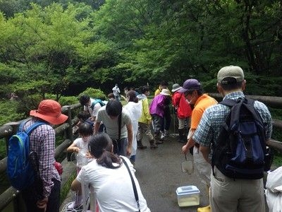 なるほど森歩き（7月）