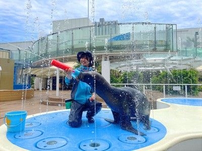 サンシャイン水族館の夏イベント〜サンシャイン水族館で夏を思いっきり楽しもう！〜