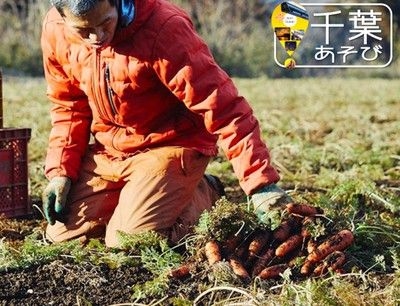 採れたての美味しさを実食！「笑顔にんじん」収穫体験＆えがお農法レッスン