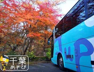 バスツアーで行く　里山の秋を満喫！観光ガイドと歩く紅葉の養老渓谷散策ツアー