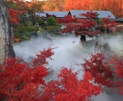 【紅葉・見ごろ】愛・地球博記念公園　日本庭園