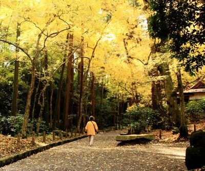 第25回　成田山公園紅葉まつり