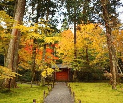 三千院 もみじ祭り