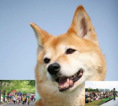 愛犬との暮らし方教室 in あさはた緑地