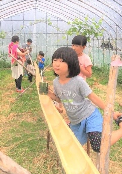 【１日1組限定】夏の田舎体験合宿1泊2日で子供と様々な体験 丹波篠山