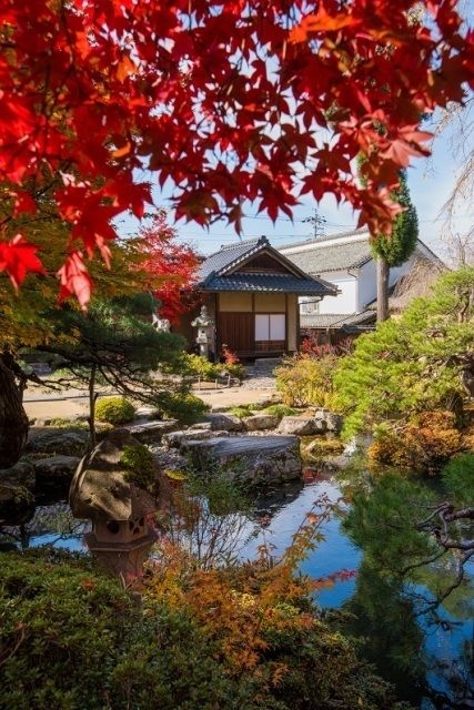 【紅葉・見ごろ】豪商の館　田中本家博物館「大庭」