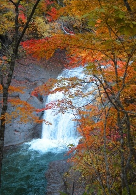 【紅葉・見ごろ】白扇の滝