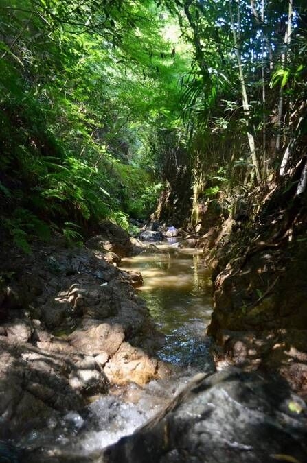 奥明日香で川遊び