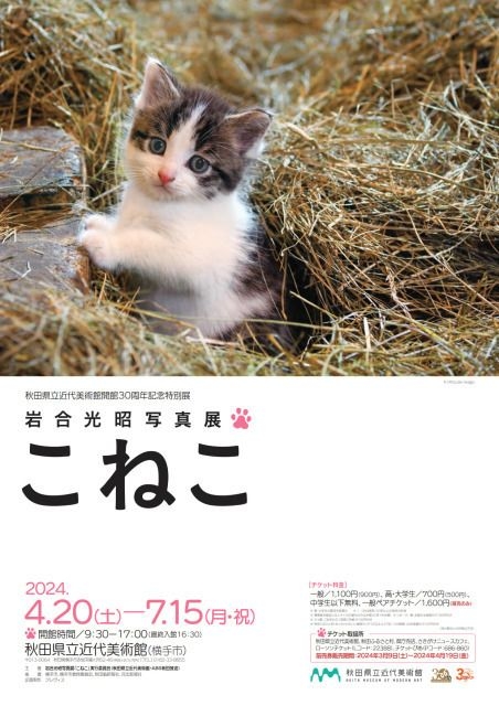 特別展　岩合光昭写真展「こねこ」