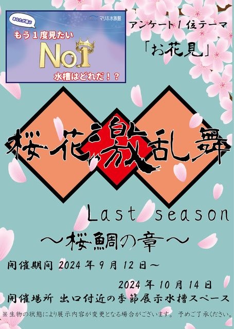 桜花激乱舞 Last season ～桜鯛の章～