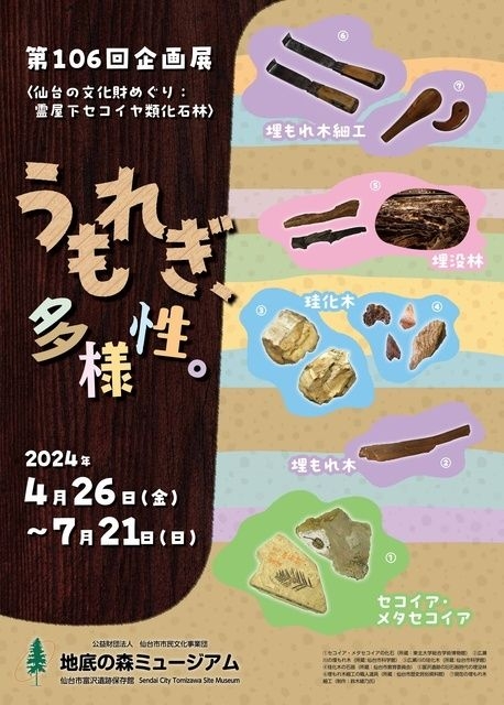 第106回企画展　仙台の文化財めぐり 霊屋下セコイヤ類化石林　うもれぎ、多様性。