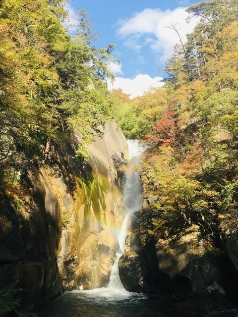 【紅葉・見ごろ】仙娥滝