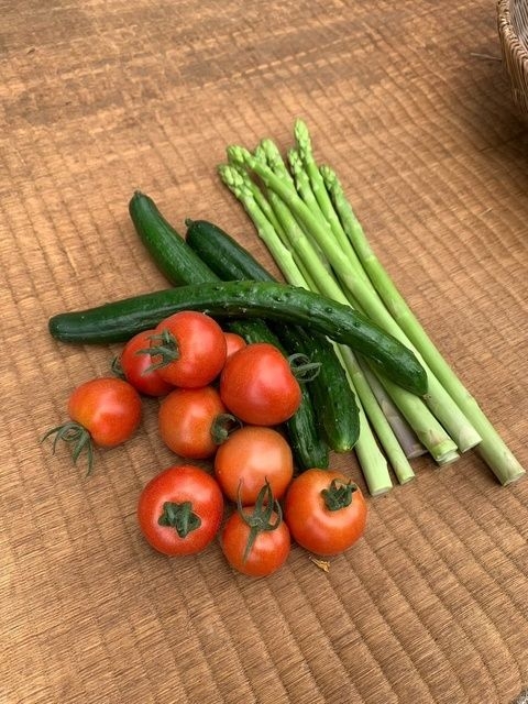 練馬区内の農家で『夏野菜収穫体験』