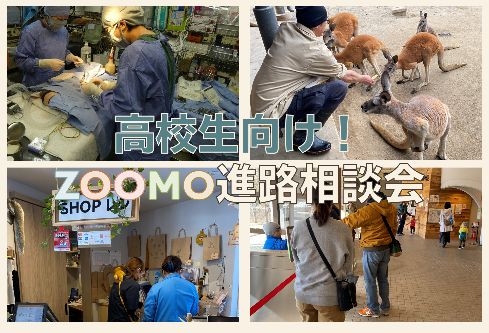 【8月10日限定】高校生向け！ZOOMO進路相談会