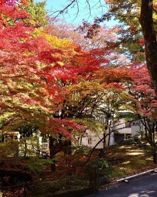 【紅葉・見ごろ】大正ロマンの森　竹久夢二伊香保記念館