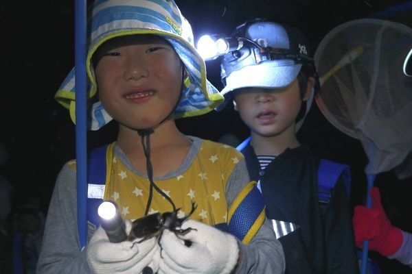 6歳からのカブトムシナイトハンティング in 狭山