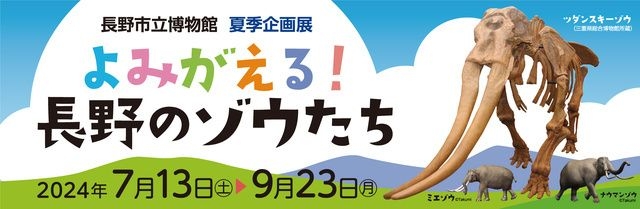 夏の企画展「よみがえる！長野のゾウたち」