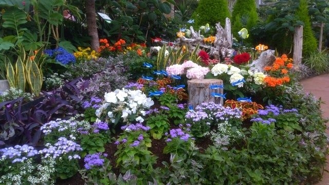 花の展示温室 サマーガーデン