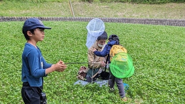 夏休み自由研究企画　メッツァビレッジで昆虫制覇！？