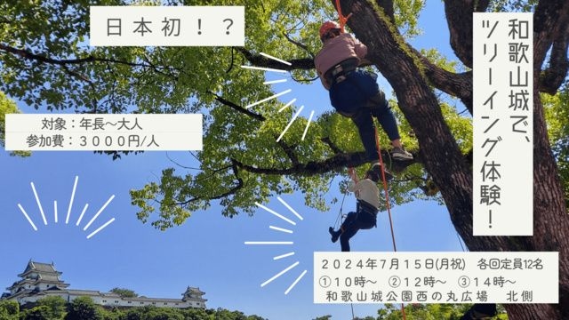 お城でツリーイング体験!! 和歌山城で木登りにチャレンジ!!