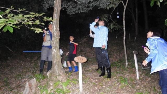 夜の森 探検ツアー in 匠の聚