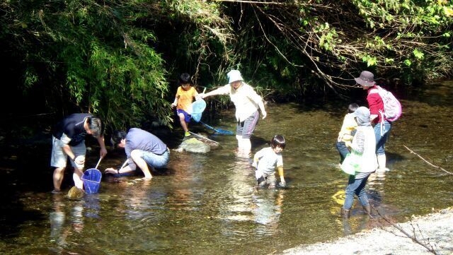 清流・高麗川で生き物観察と川遊び