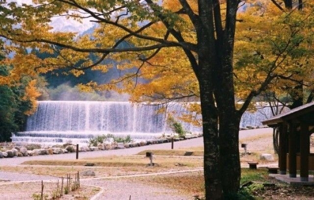 【紅葉・見ごろ】片貝山ノ守キャンプ場付近