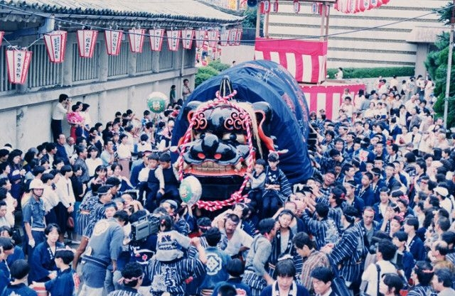 こいこい祭り