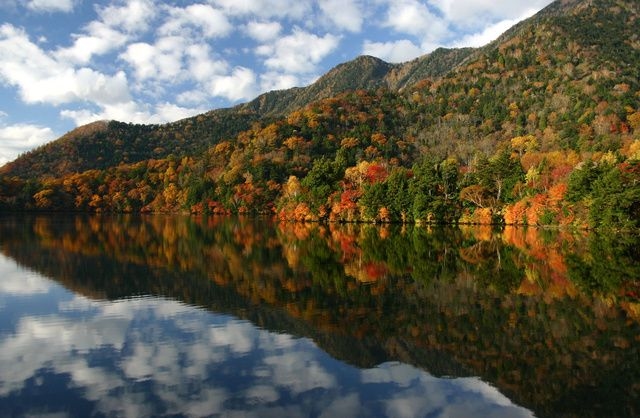 【紅葉・見ごろ】湯ノ湖