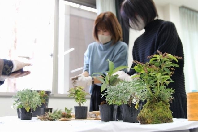 山野草の寄せ植え教室（10月）