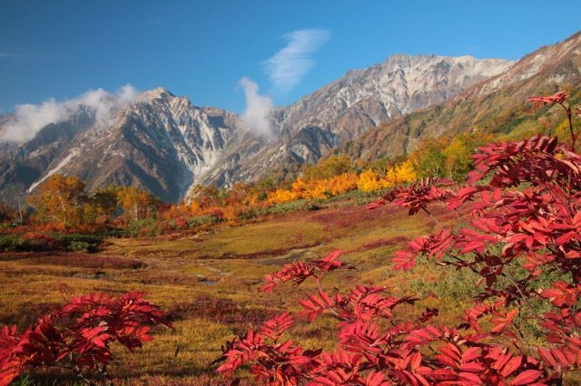 【紅葉・見ごろ】栂池自然園